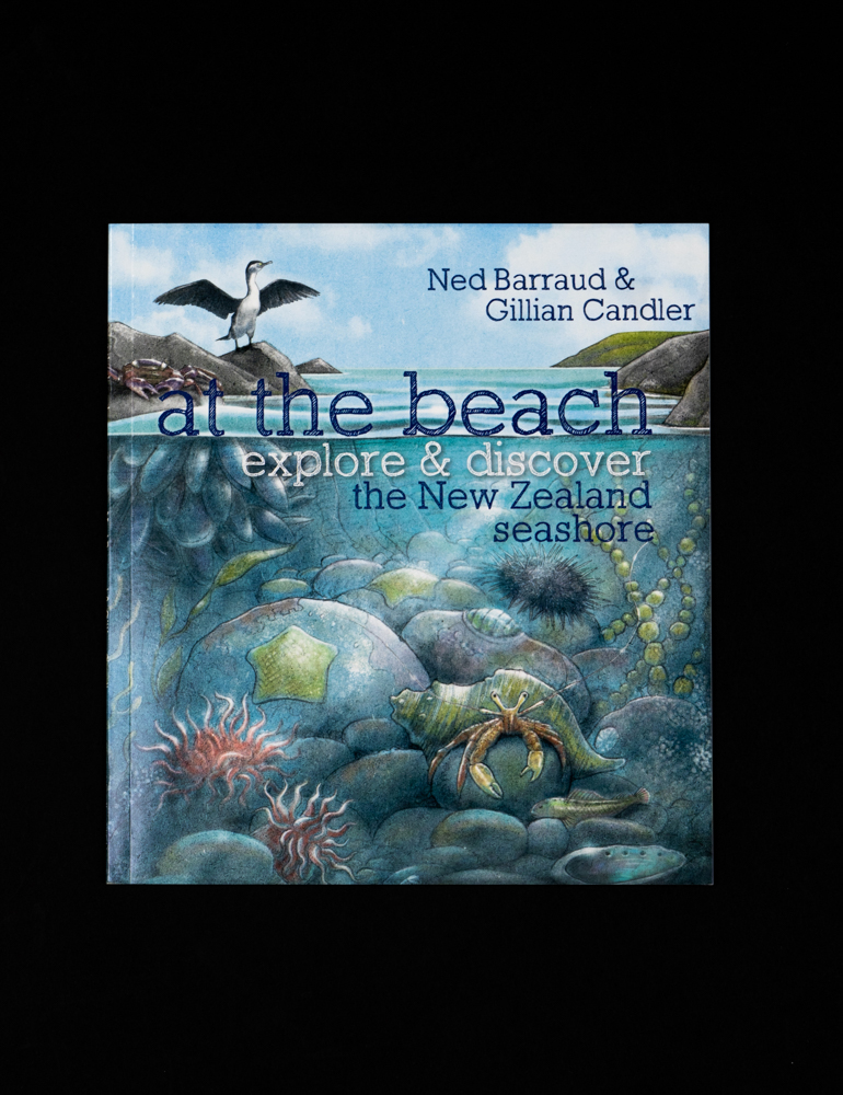 At the Beach picture book HC242