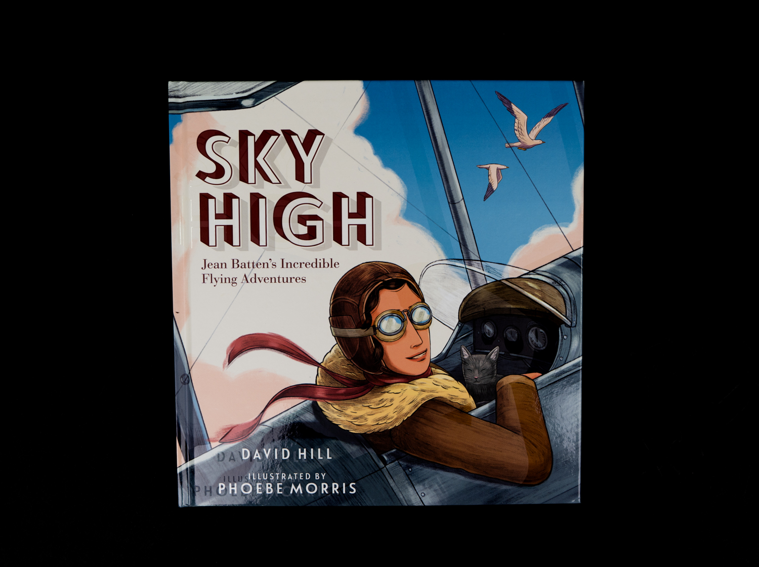 Sky High picture book HC237