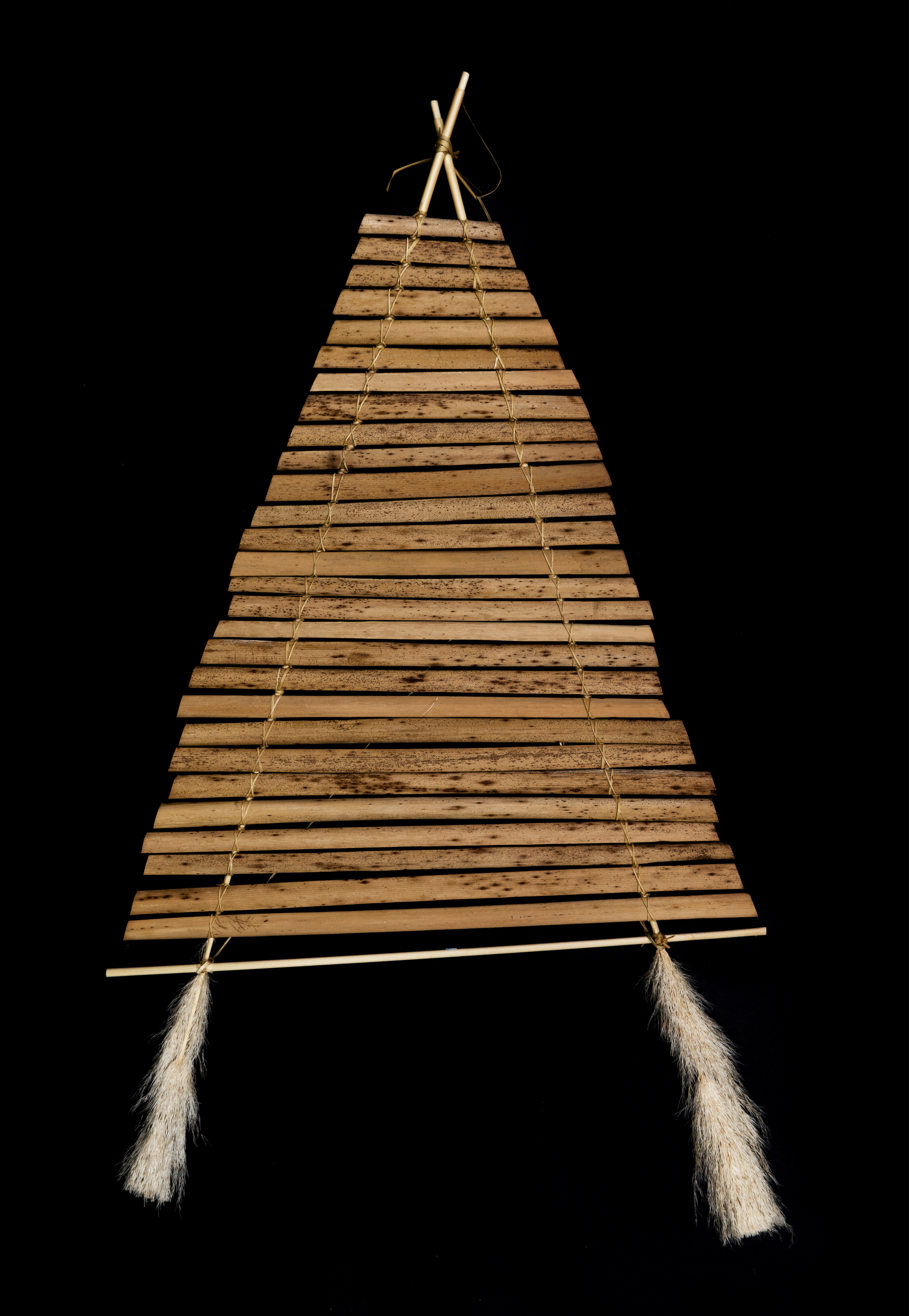 Manu Tukutuku | Kite HC248