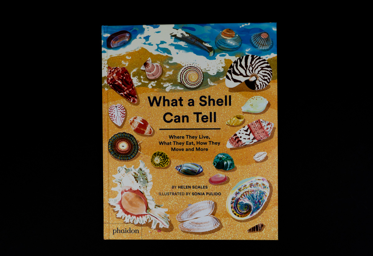 What a Shell Can Tell book HC259