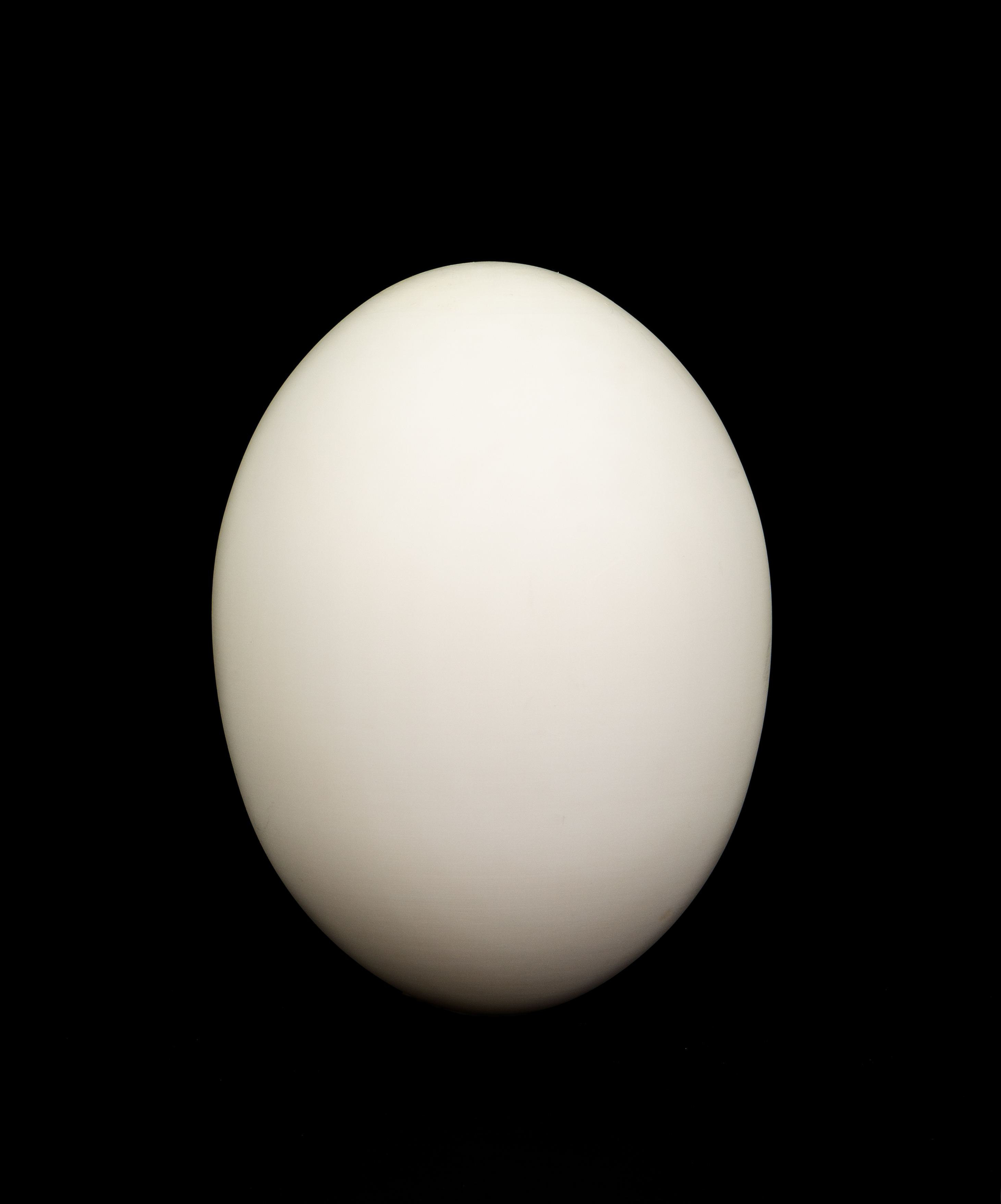 3D Printed Moa Egg HC262