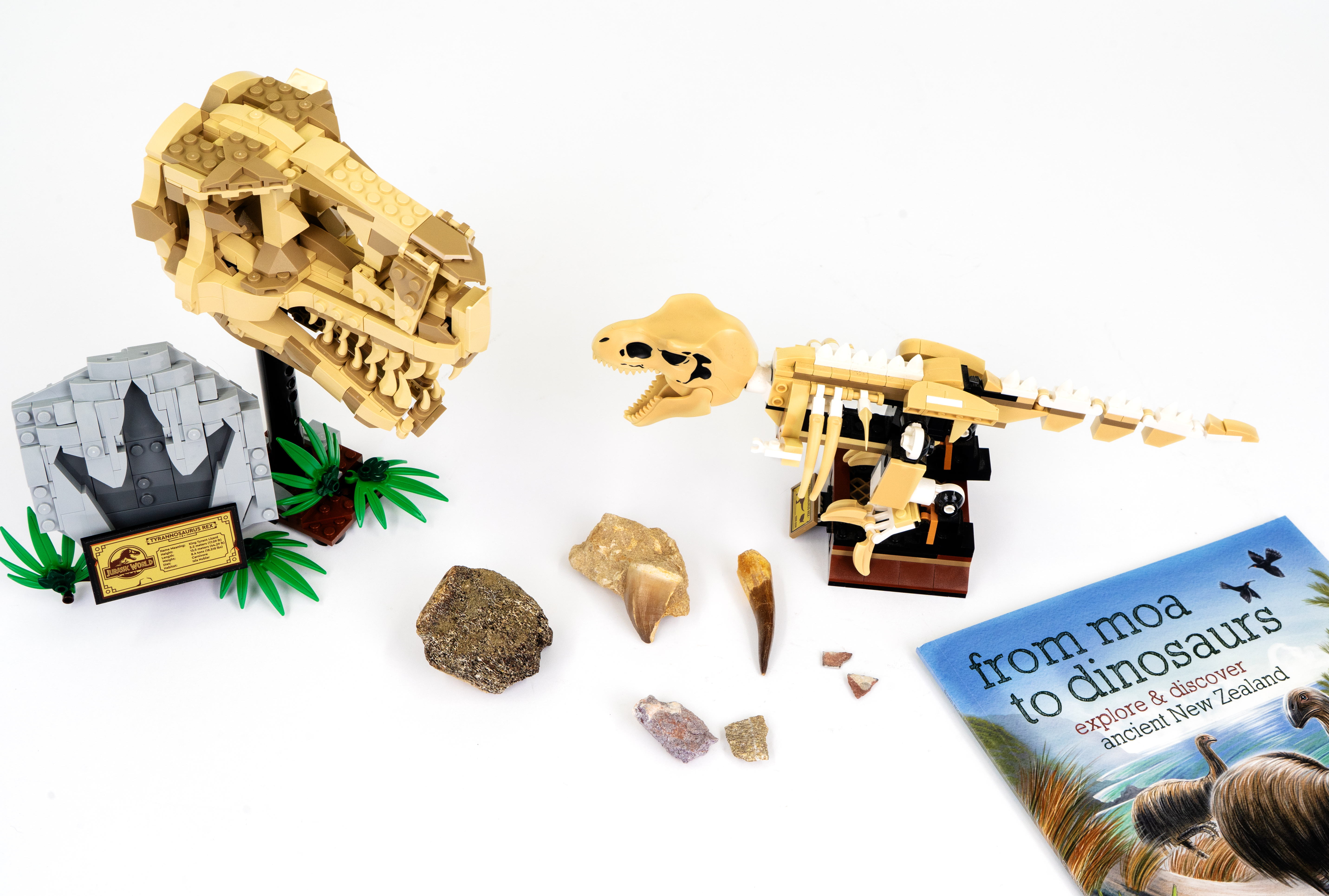 Dinosaur Discovery- Explore and Learn Kit HC281