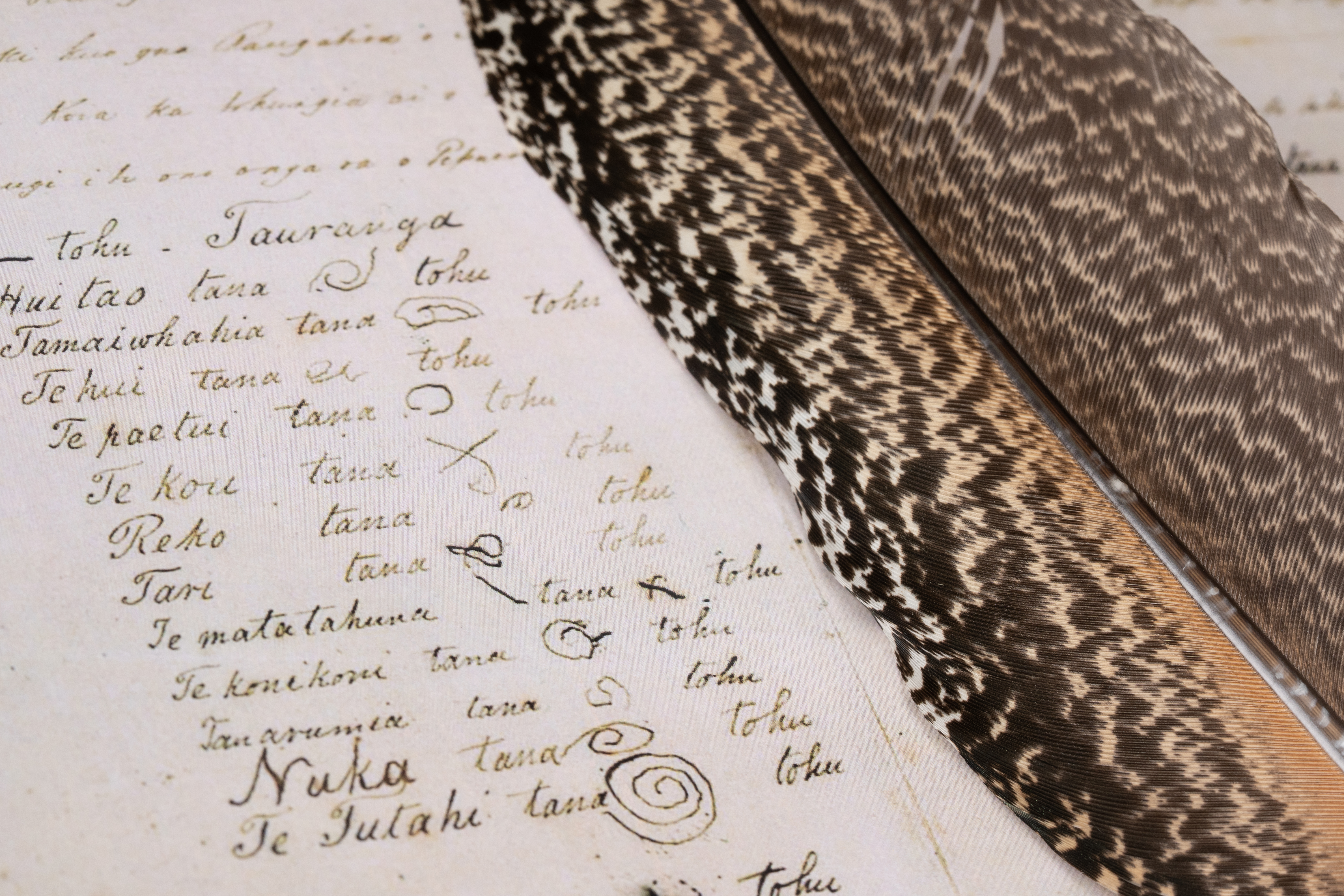 Te Tiriti o Waitangi ki Tauranga / The Treaty of Waitangi Tauranga copies HC201